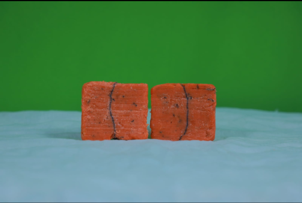 Papaya Charcoal Soap